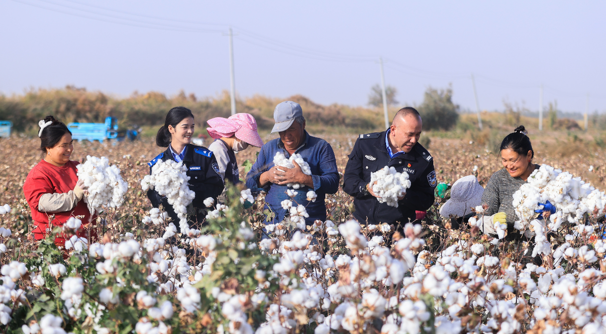 棉花采摘季 新疆伽師公安“全鏈條”護航